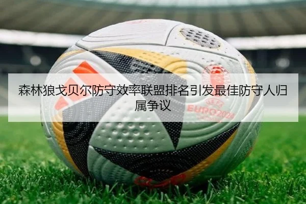 森林狼戈贝尔防守效率联盟排名引发最佳防守人归属争议